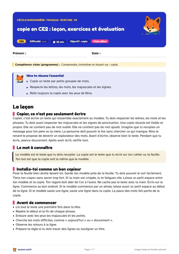 Aperçu de la fiche « Copie en CE2 : leçon, exercices et évaluation » en PDF