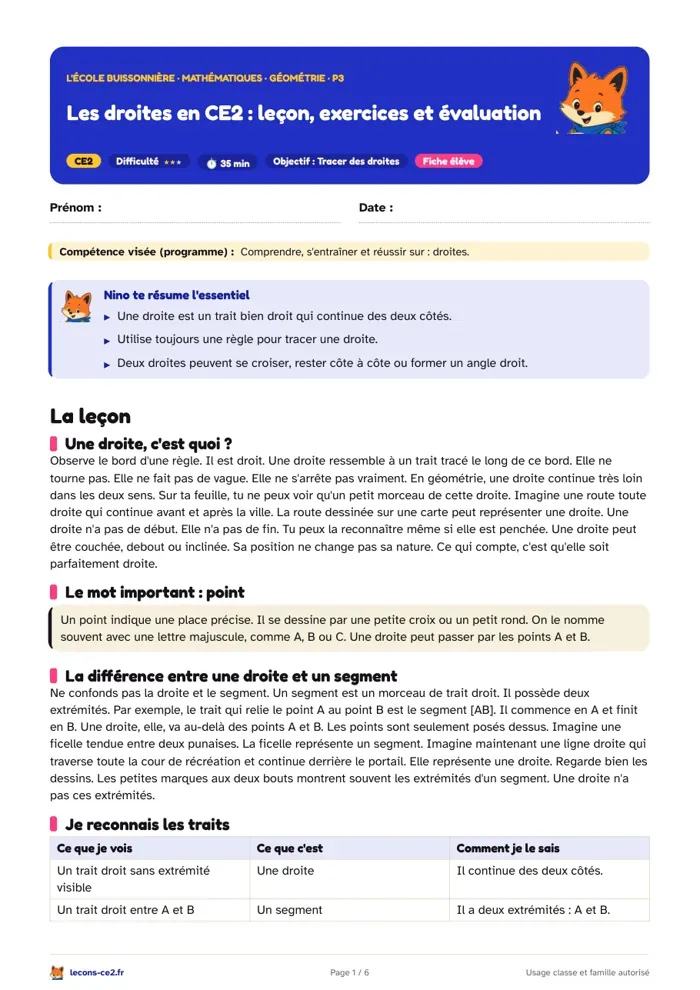 Aperçu de la fiche « Les droites en CE2 : leçon, exercices et évaluation » en PDF