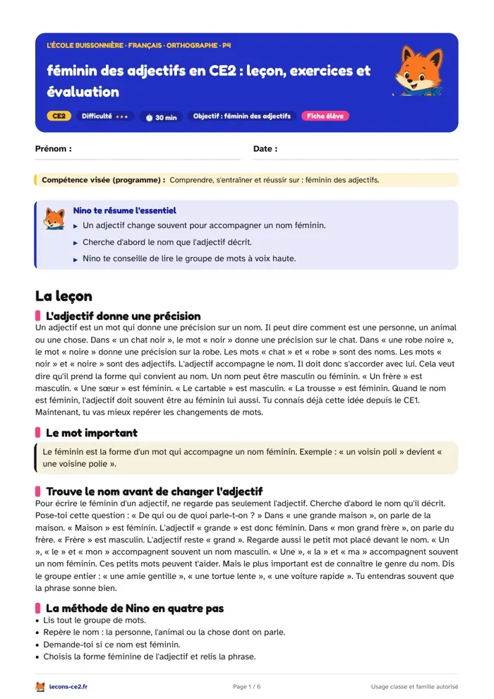 Aperçu de la fiche « Féminin des adjectifs en CE2 : leçon, exercices et évaluation » en PDF
