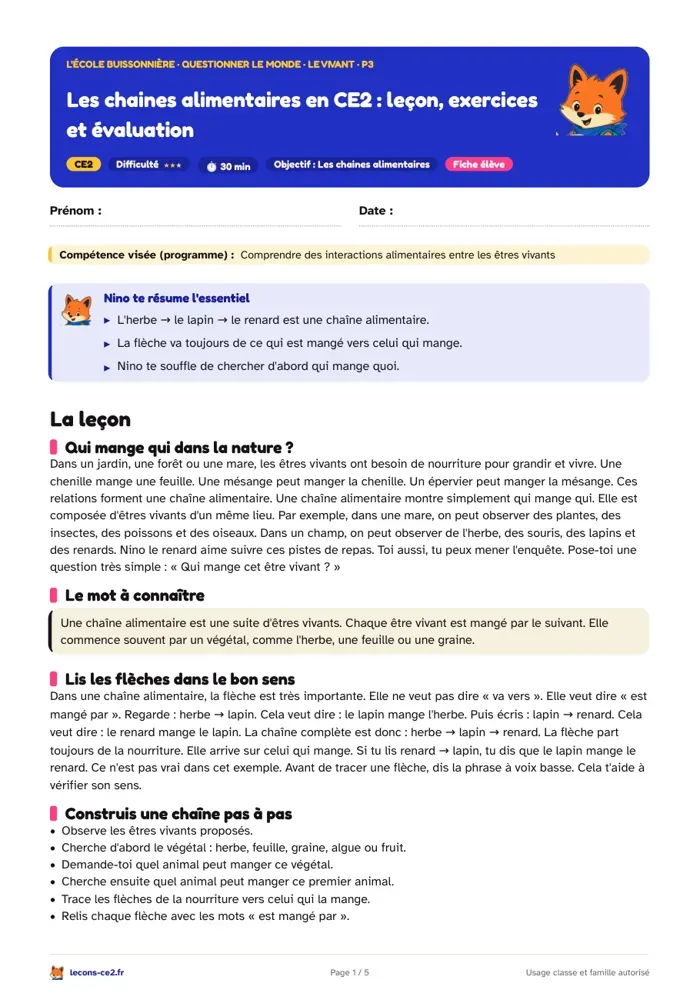 Aperçu de la fiche « Les chaines alimentaires en CE2 : leçon, exercices et évaluation » en PDF