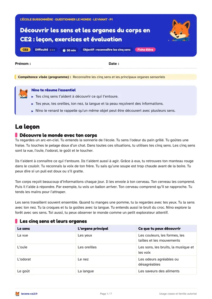 Aperçu de la fiche « Découvrir les sens et les organes du corps en CE2 : leçon, exercices et évaluation » en PDF