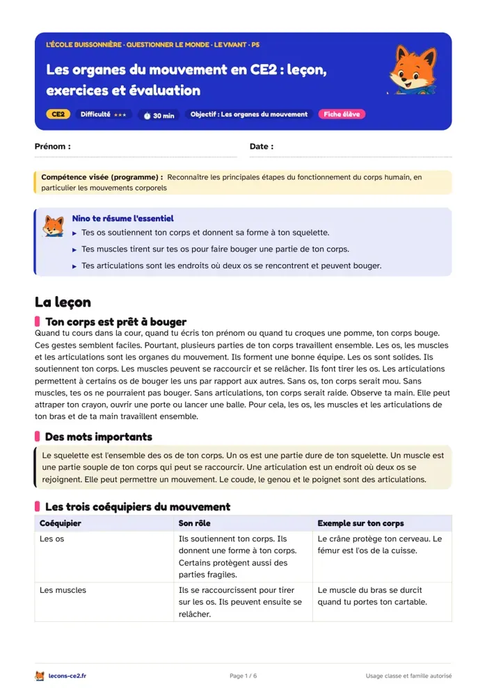 Aperçu de la fiche « Les organes du mouvement en CE2 : leçon, exercices et évaluation » en PDF