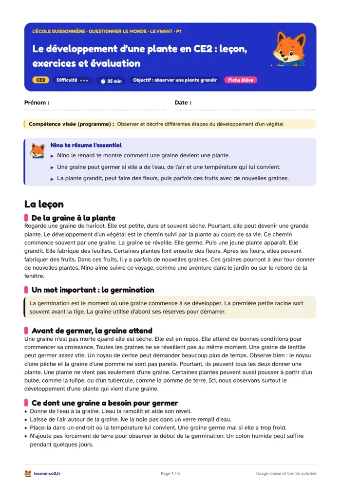 Aperçu de la fiche « Le développement d'une plante en CE2 : leçon, exercices et évaluation » en PDF
