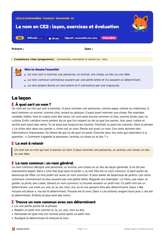 Aperçu de la fiche « Le nom en CE2 : leçon, exercices et évaluation » en PDF