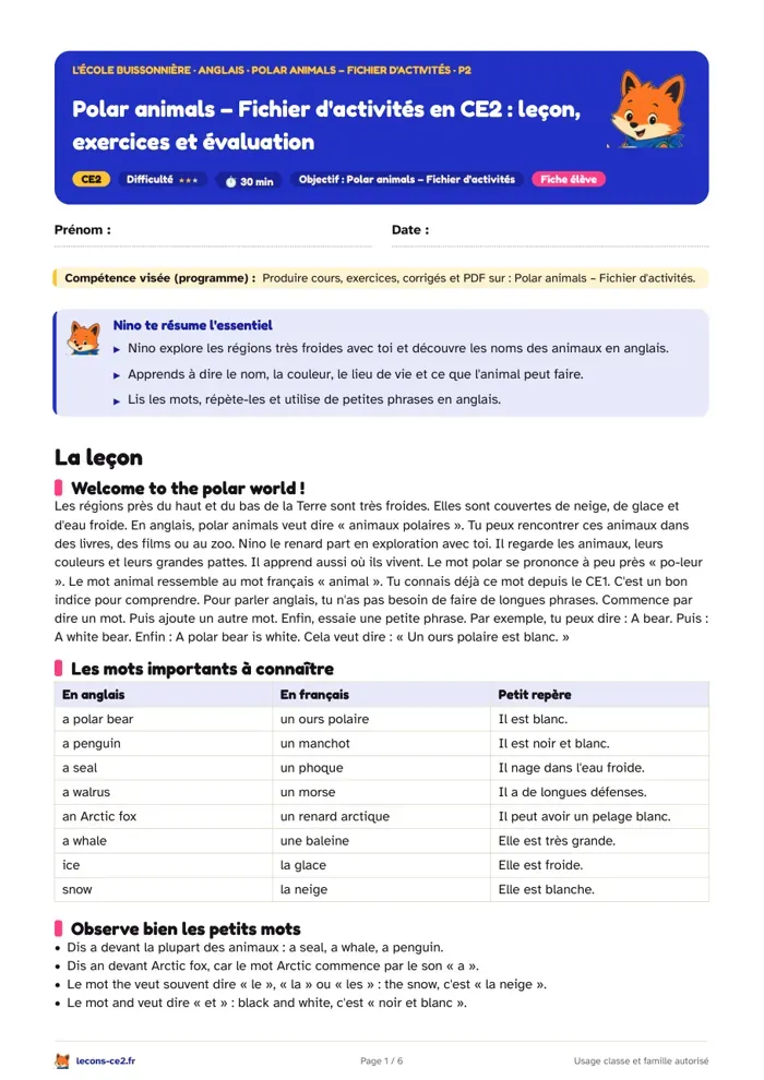 Aperçu de la fiche « Polar animals en CE2 : dire la couleur, le lieu de vie et ce que l'animal sait faire » en PDF