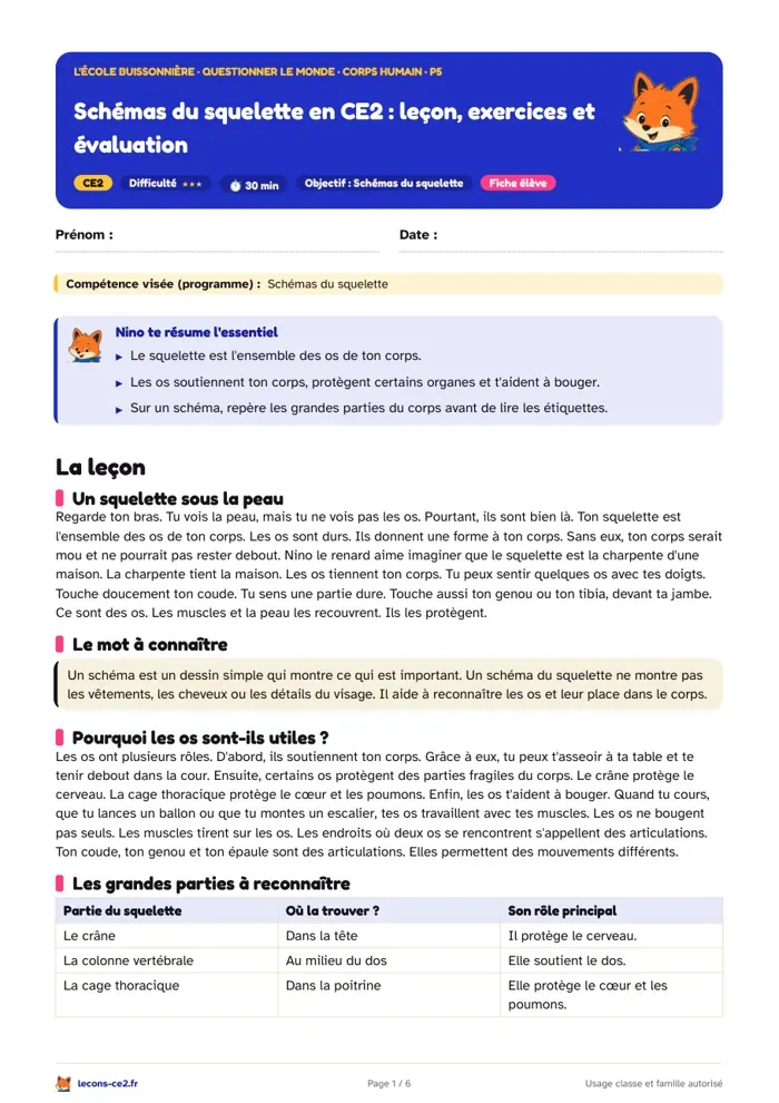 Aperçu de la fiche « Schémas du squelette en CE2 : leçon, exercices et évaluation » en PDF